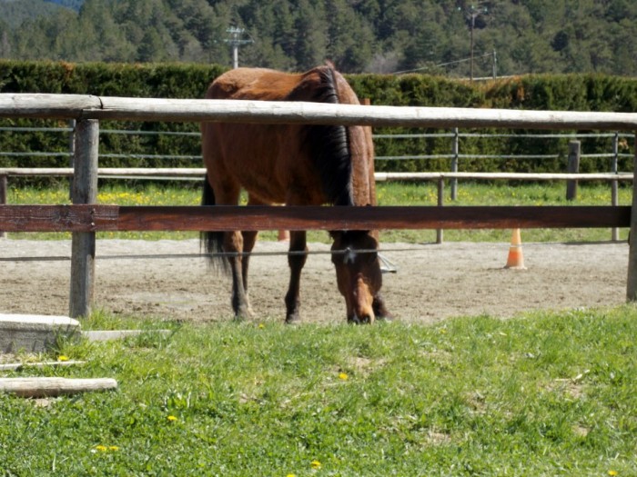 Photo de profil de maryon.oslo