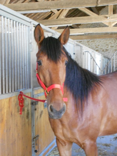 Photo de profil de marinacecile