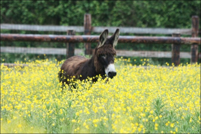 Photo de profil de manon2103