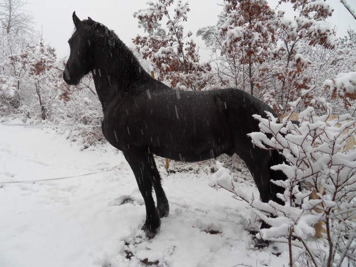 Photo de profil de dodsie