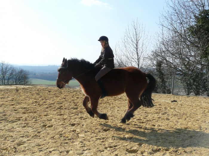 Photo de profil de lovecheval123