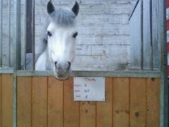 Photo de profil de thunde.lucas59