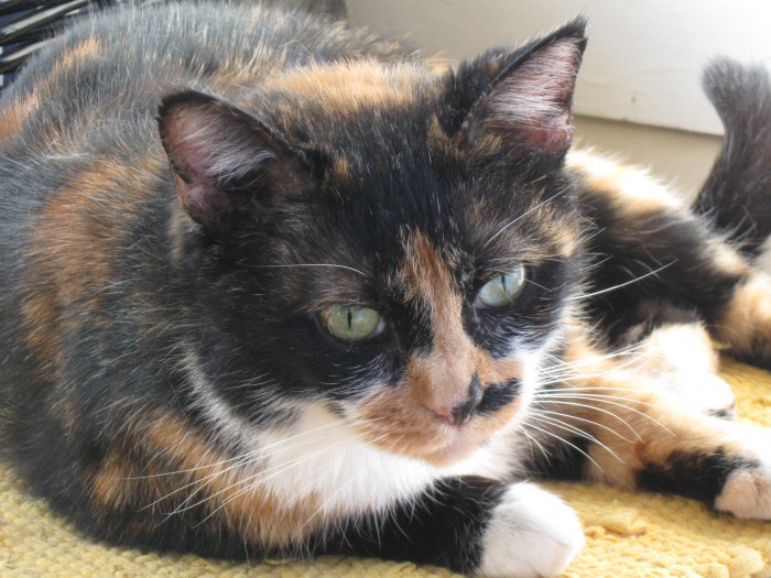 Photo de profil de gigi061956