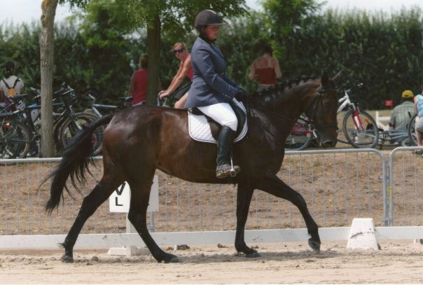 Photo de profil de ardnas