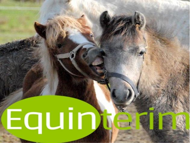 Photo de profil de equinterim