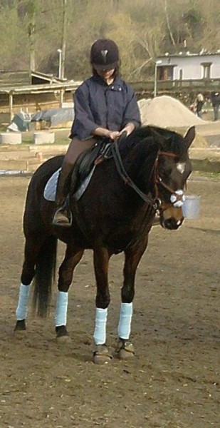 Photo de profil de karine60660
