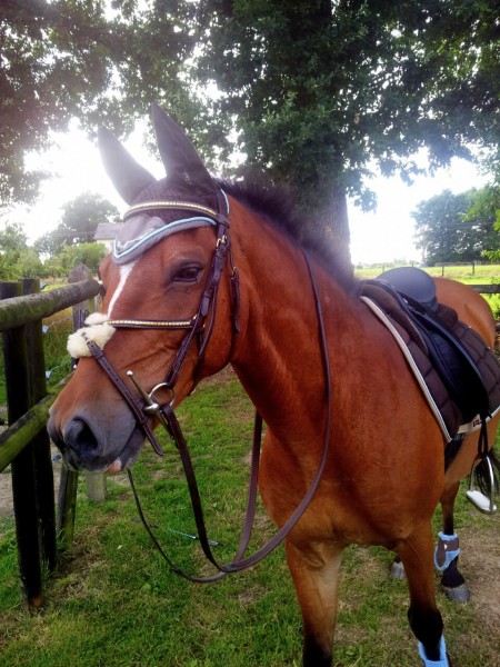 Photo de profil de sodalcantara