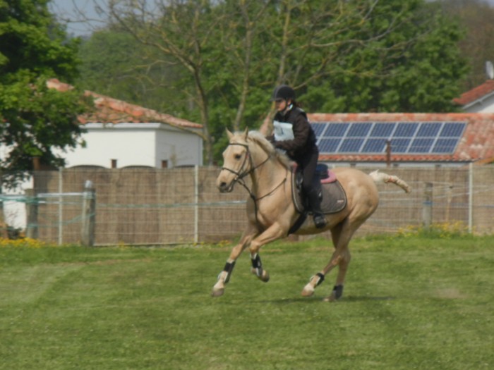 Photo de profil de jonquilledb