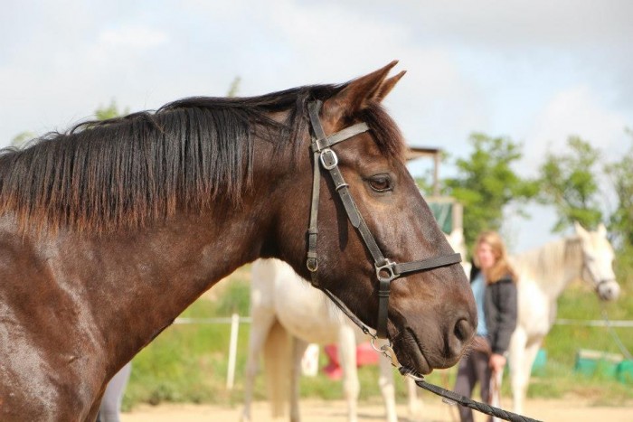 Photo de profil de rafalececile