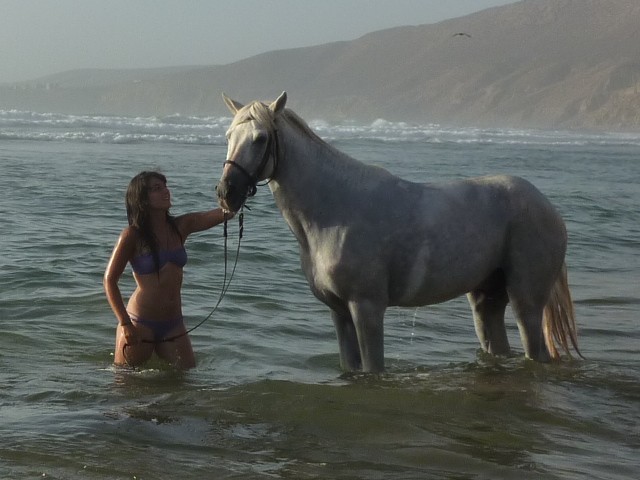 Photo de profil de zwina