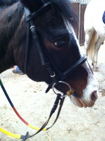 Photo de profil de lovekrapule