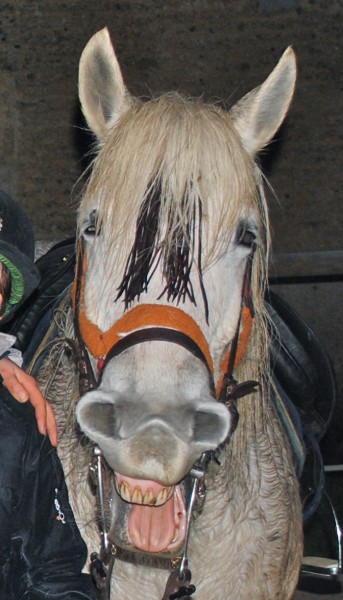 Photo de profil de nyanne2538