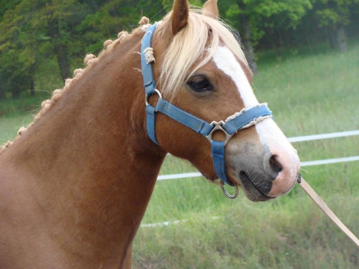 Photo de profil de feudor43