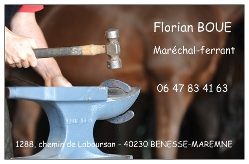 Photo de profil de marechal40