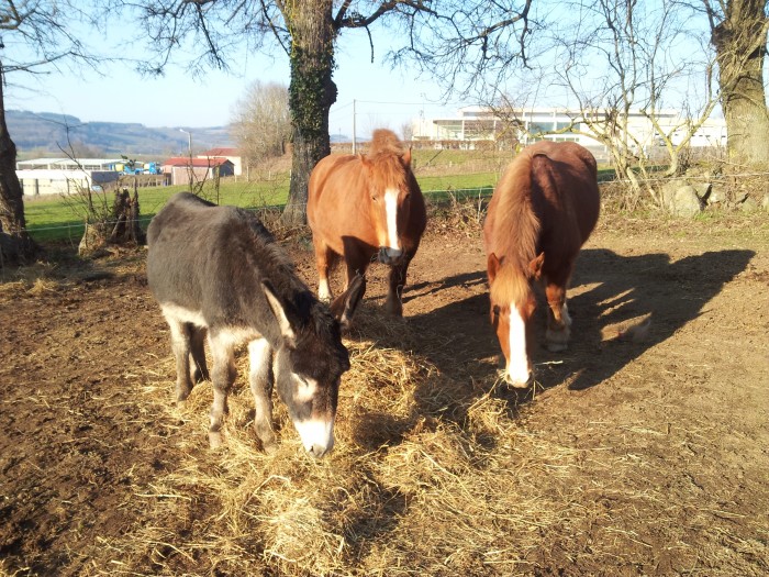 Photo de profil de cindy12