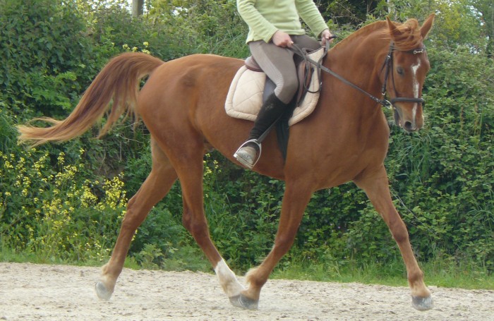 Photo de profil de harquinette