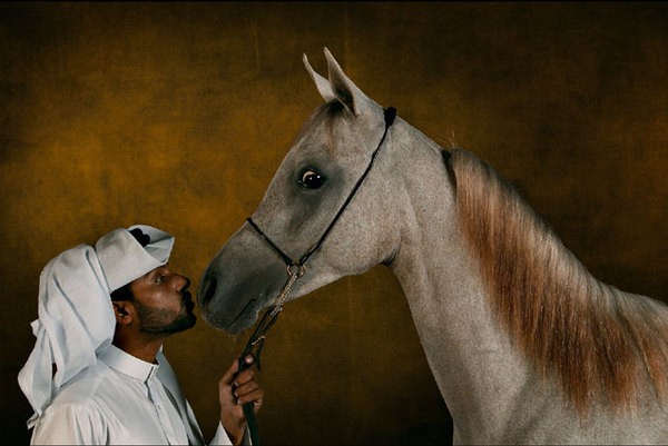 Photo de profil de chevalpassion87