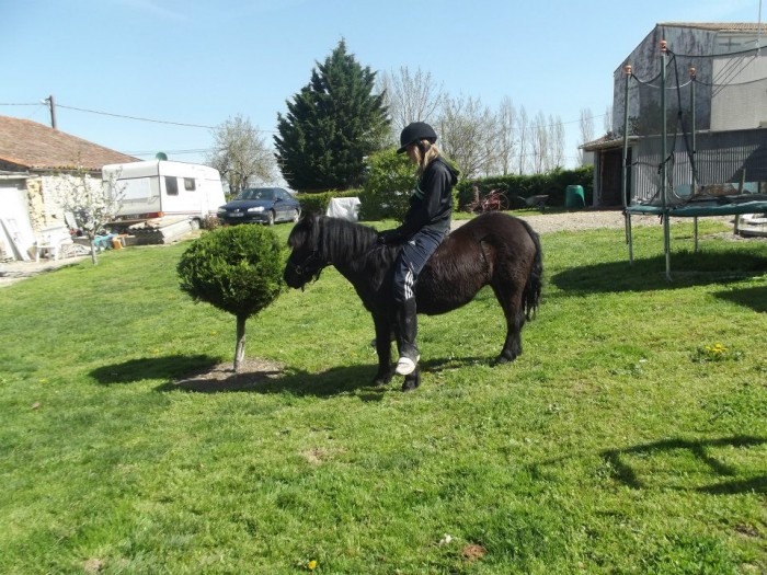 Photo de profil de attiranteetmadi