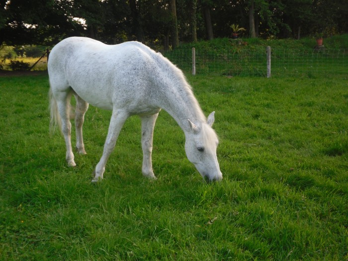 Photo de profil de fafarouche