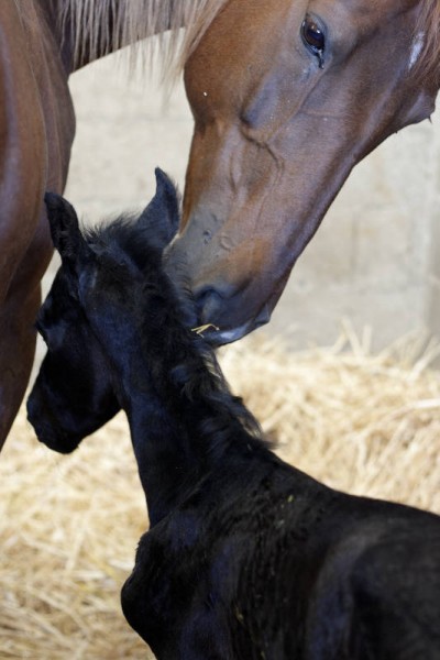 Photo de profil de mln23