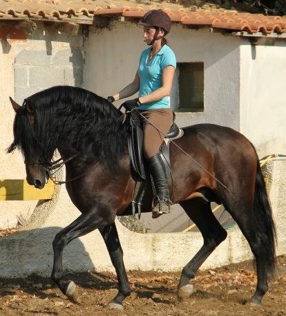 Photo de profil de sophieguerin