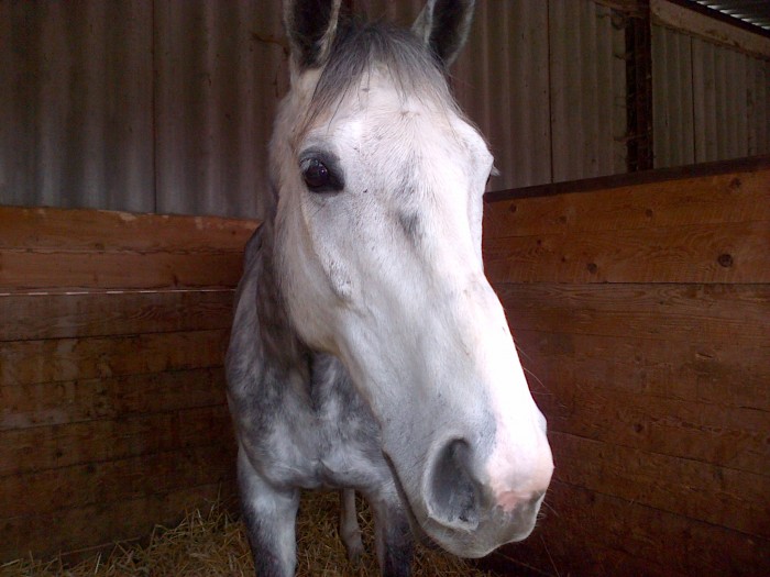 Photo de profil de claudia.