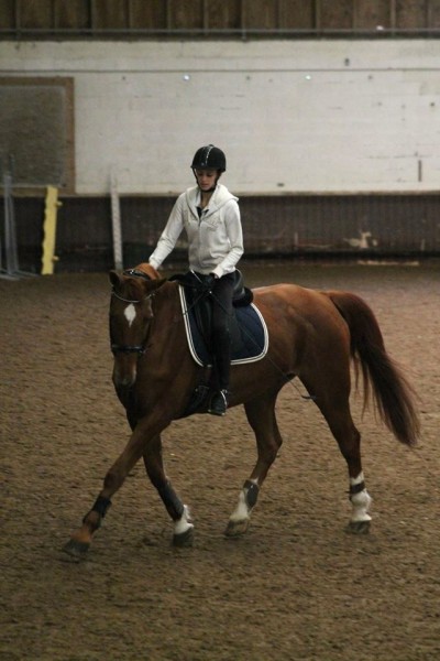 Photo de profil de misshorse96