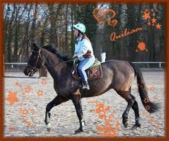 Photo de profil de kiwicamille