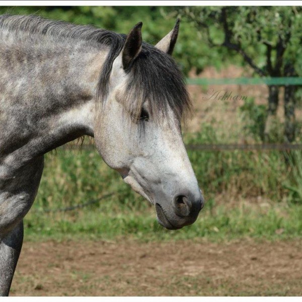 Photo de profil de pension83