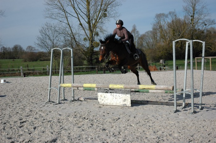 Photo de profil de hellofalco