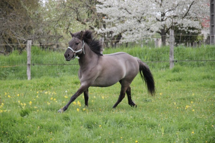 Photo de profil de milyca