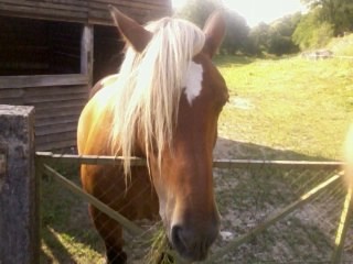 Photo de profil de noemie15