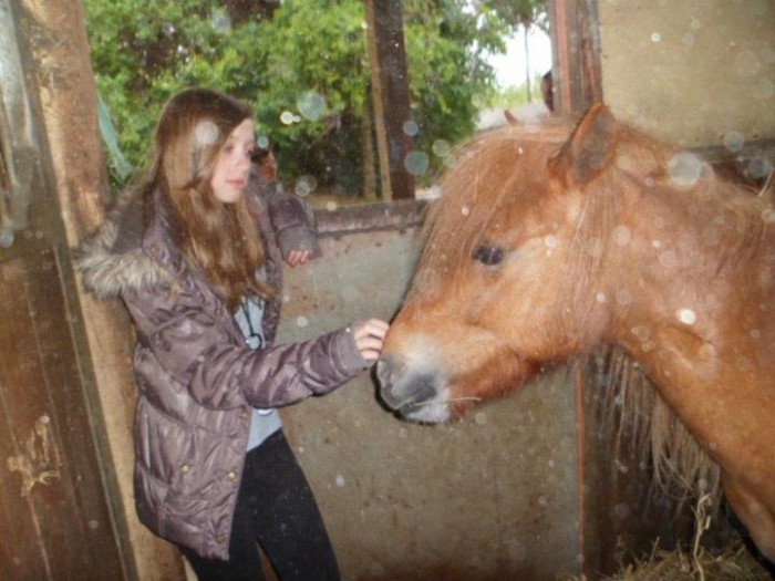Photo de profil de a.l.equitation