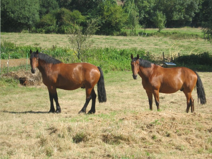 Photo de profil de alaetit