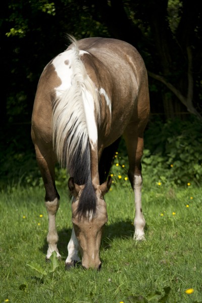 Photo de profil de aldous
