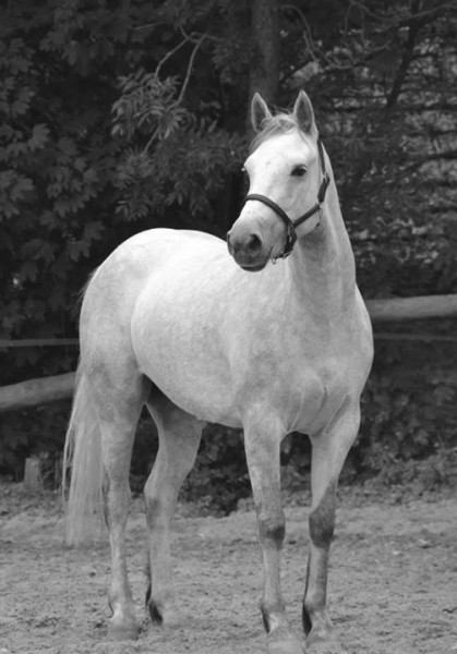 Photo de profil de an9el