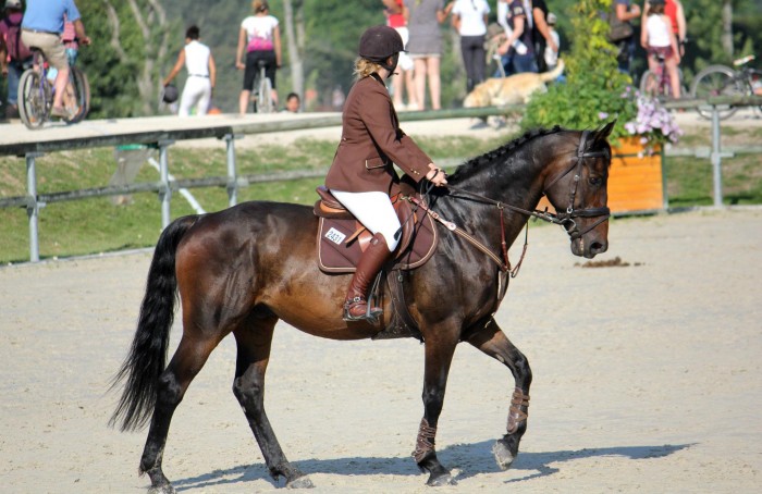 Photo de profil de anaissagb