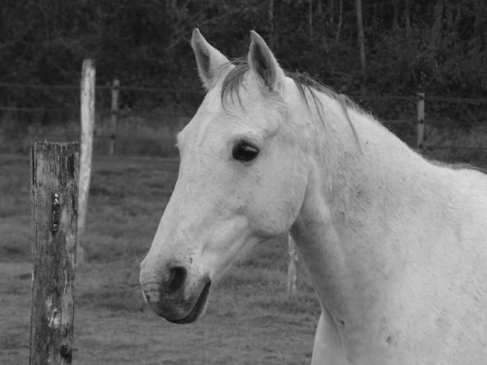 Photo de profil de aniblake