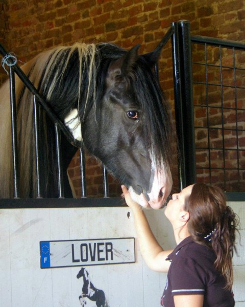 Photo de profil de annechag