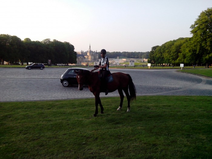 Photo de profil de apollon60