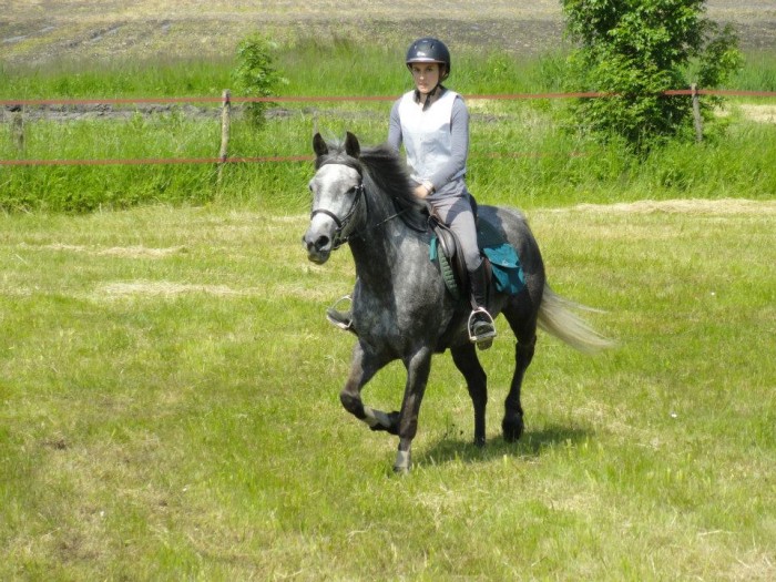 Photo de profil de armellebriand