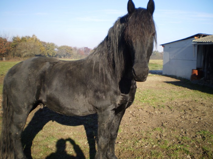 Photo de profil de asalta