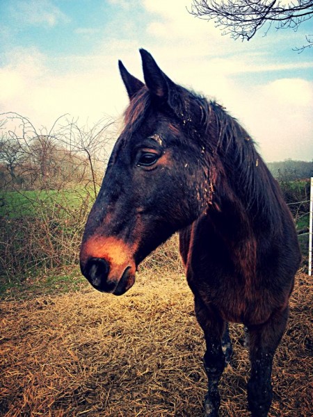Photo de profil de bebefaust