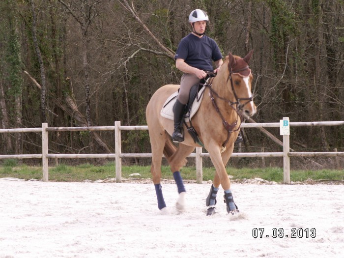 Photo de profil de ben33