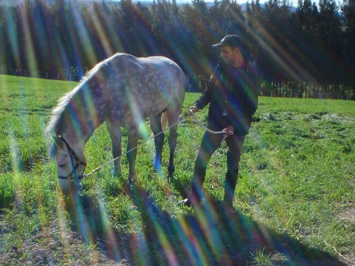 Photo de profil de berrezouga