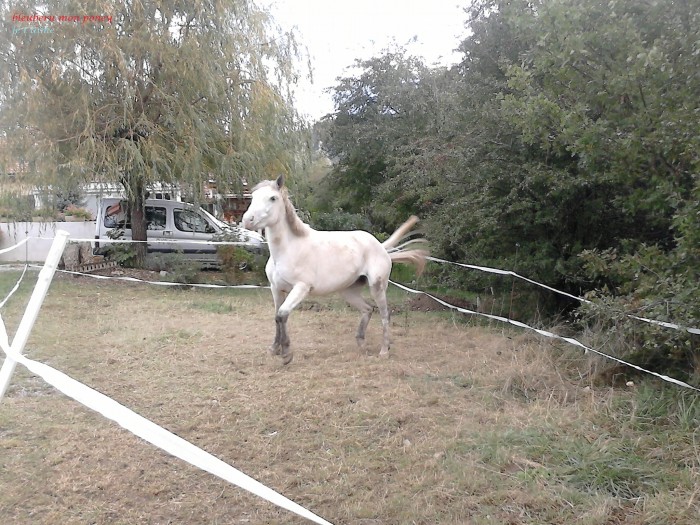 Photo de profil de bleubery