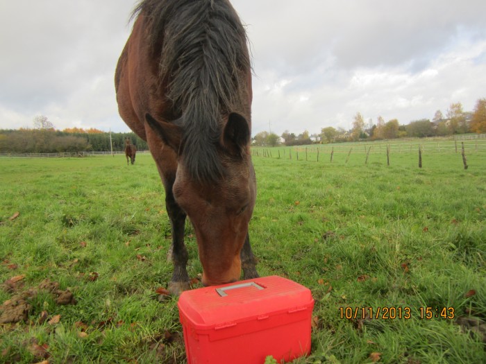 Photo de profil de bluebicuit