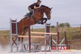 Photo de profil de brigitte.l