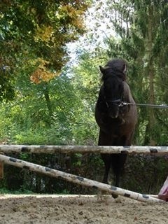 Photo de profil de cahouet77
