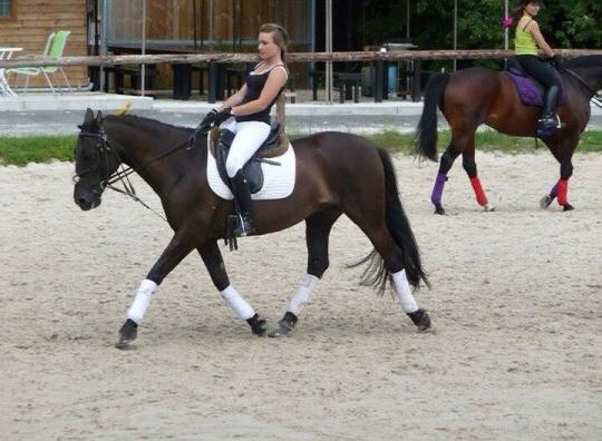 Photo de profil de camiy